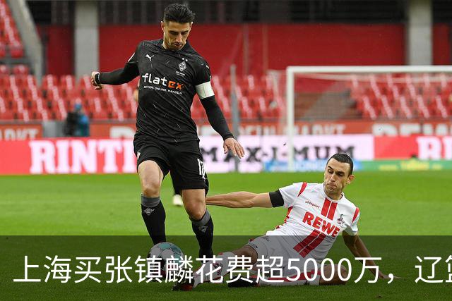 上海买张镇麟花费超5000万，辽篮赚大了王朝却为何崩塌？