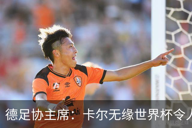 德足协主席：卡尔无缘世界杯令人感伤，送别时有人流下了眼泪