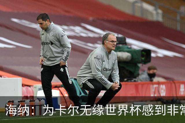 海纳：为卡尔无缘世界杯感到非常遗憾 他的未来依然无比广阔
